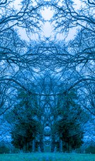 Enlarge photo 63