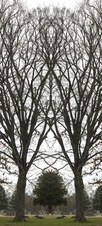 Enlarge photo 64