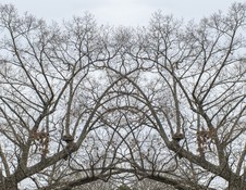 Enlarge photo 72