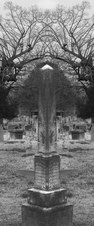 Enlarge photo 71