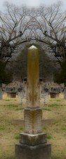 Enlarge photo 70