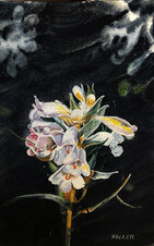 Creative Painting & Photography