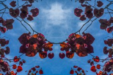 Enlarge photo 8