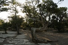 Enlarge photo 14