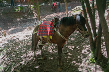 Enlarge photo 11