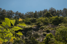 Enlarge photo 5