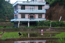 Enlarge photo 10