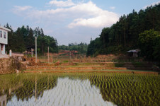 Enlarge photo 9