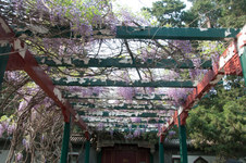Enlarge photo 14