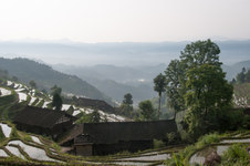 Rice Terraces