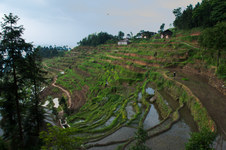 Enlarge photo 17