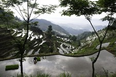 Ziquejie Terraced Rice Fields-Raw Photos