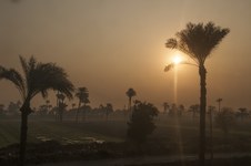 Luxor to Cairo: Views from the train.