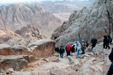 Enlarge photo 51