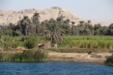 Nile River