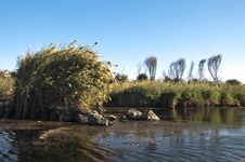 Enlarge photo 20