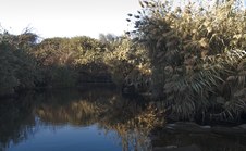 Enlarge photo 17