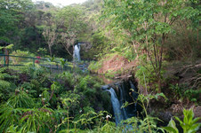 Enlarge photo 21