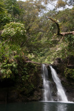 Enlarge photo 22