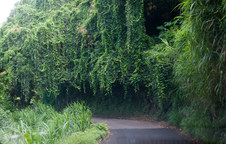 Enlarge photo 30