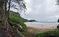 Enlarge photo 16