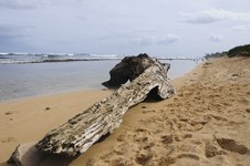 Enlarge photo 184
