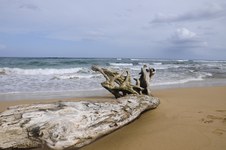 Enlarge photo 10