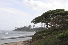 Enlarge photo 178
