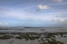 Enlarge photo 176