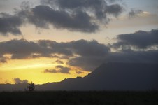 Enlarge photo 175