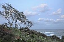 Enlarge photo 174