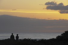 Enlarge photo 173