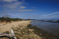 Enlarge photo 171