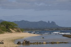 Enlarge photo 170