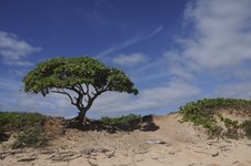 Enlarge photo 167