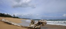 Enlarge photo 182