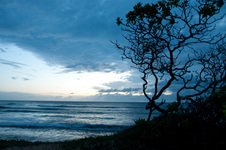 Enlarge photo 19
