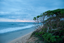 Enlarge photo 20