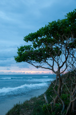 Enlarge photo 21