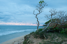Enlarge photo 22