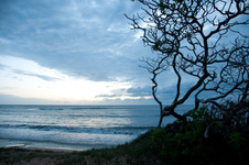 Enlarge photo 23