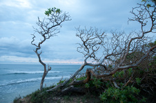 Enlarge photo 26