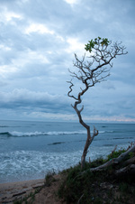 Enlarge photo 28