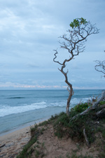 Enlarge photo 29