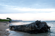 Enlarge photo 33