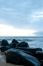 Enlarge photo 40