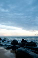 Enlarge photo 41