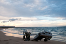 Enlarge photo 44
