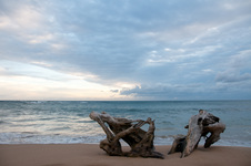 Enlarge photo 45