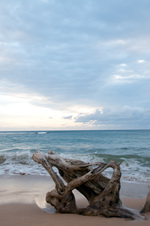 Enlarge photo 46